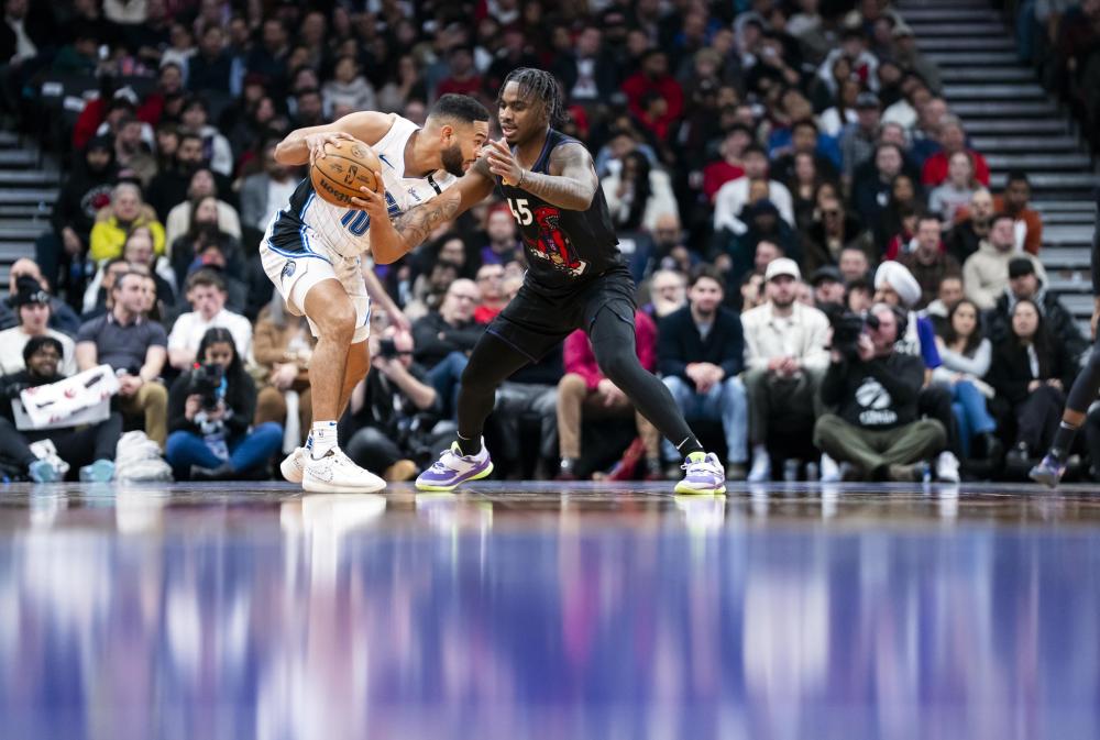 马已基本敲 马已基本敲