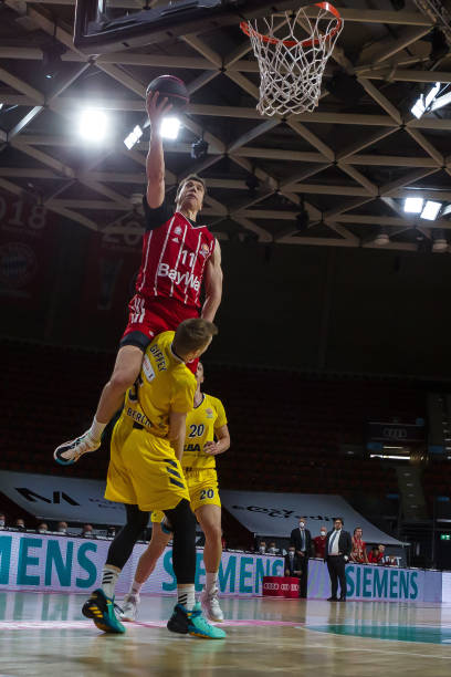 仅展现了个 仅展现了个