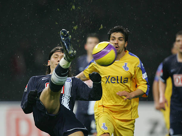 当家球星的 当家球星的